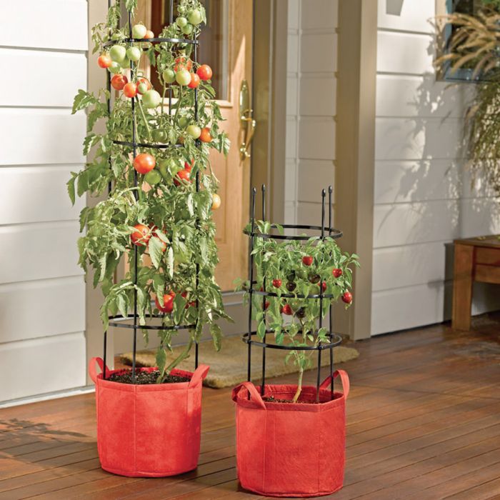 Tomato Grow Bag Kit